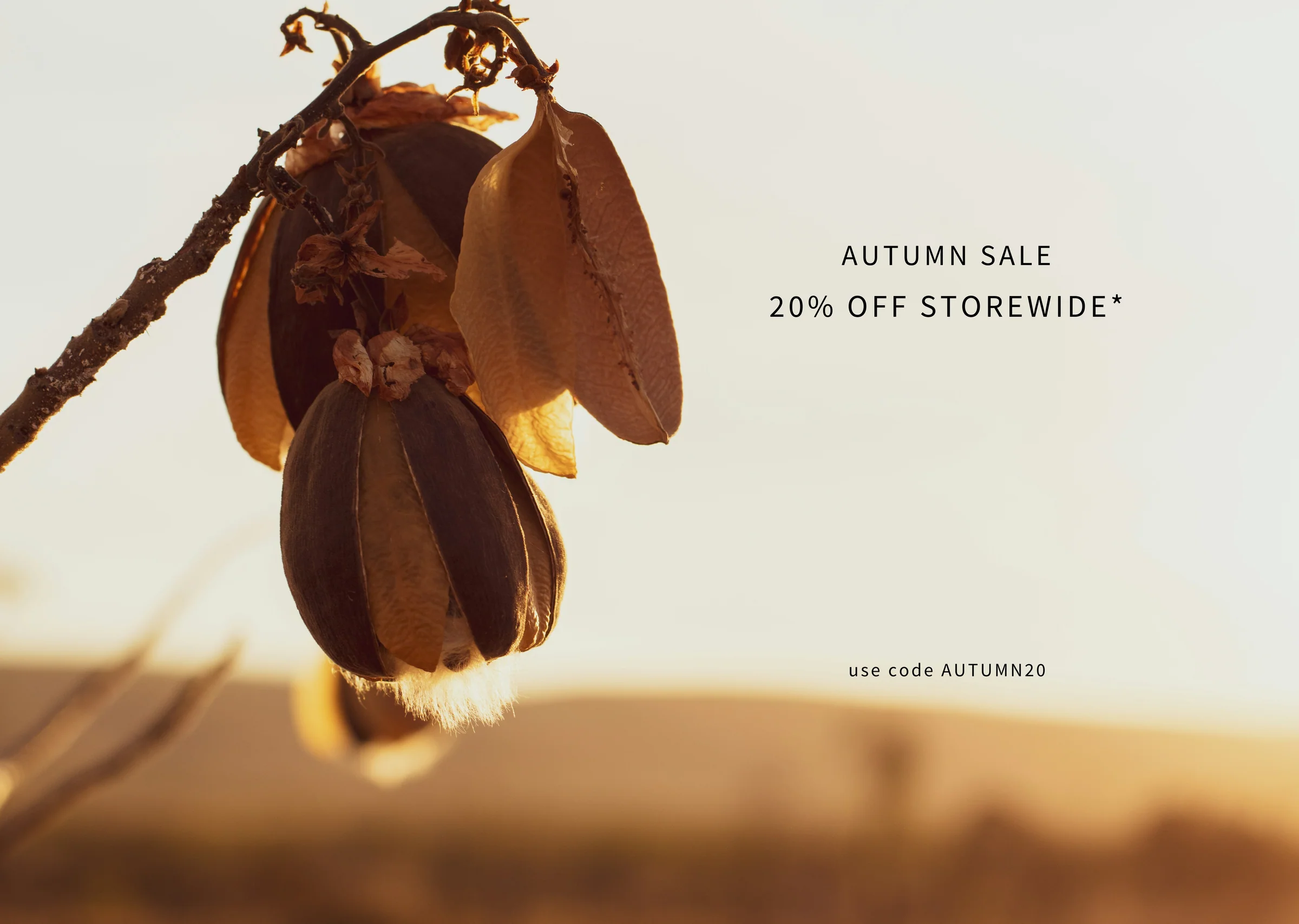 Australia’s Superfood From the Bush